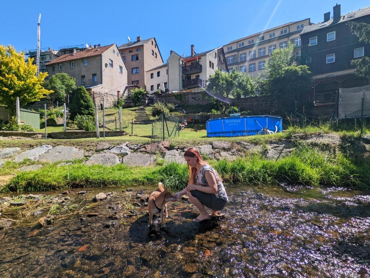 Famzi - Urlaubsmagie - Familienwohnung Mit Gemeinschaftsgarten, -Sauna & -Pool Sebnitz Zewnętrze zdjęcie