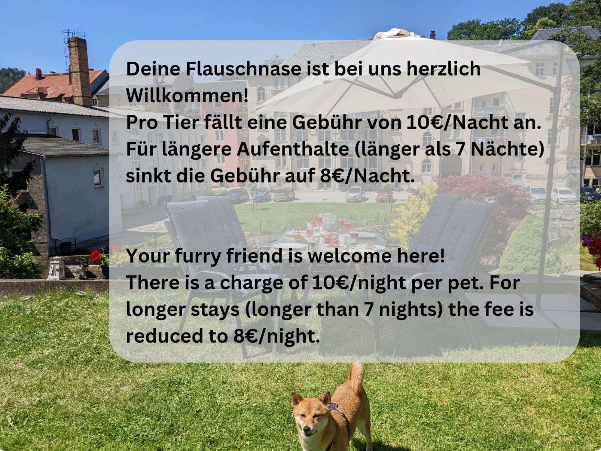 Famzi - Urlaubsmagie - Familienwohnung Mit Gemeinschaftsgarten, -Sauna & -Pool Sebnitz Zewnętrze zdjęcie