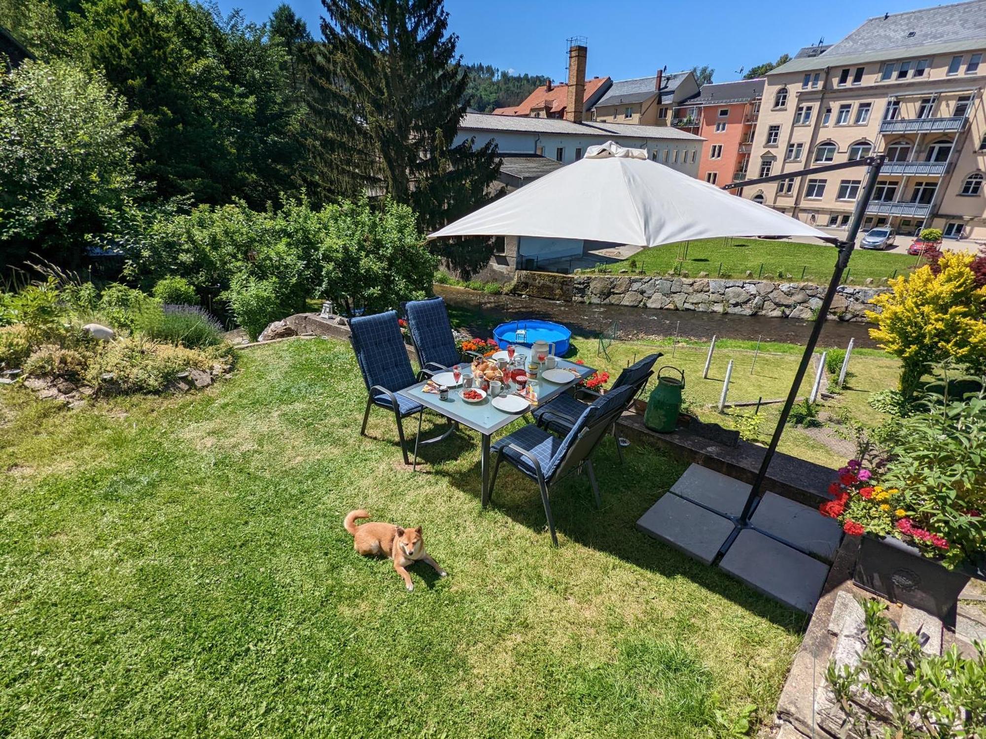 Famzi - Urlaubsmagie - Familienwohnung Mit Gemeinschaftsgarten, -Sauna & -Pool Sebnitz Zewnętrze zdjęcie