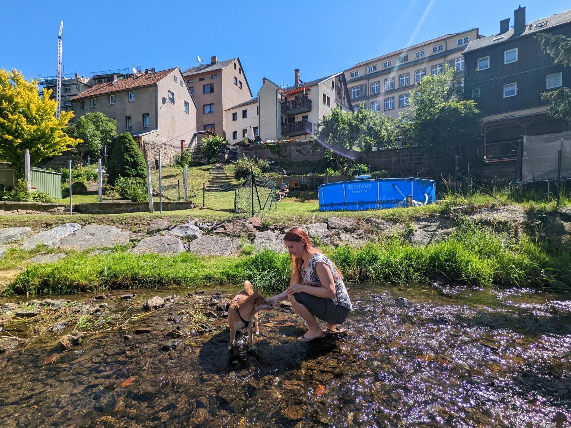 Famzi - Urlaubsmagie - Familienwohnung Mit Gemeinschaftsgarten, -Sauna & -Pool Sebnitz Zewnętrze zdjęcie