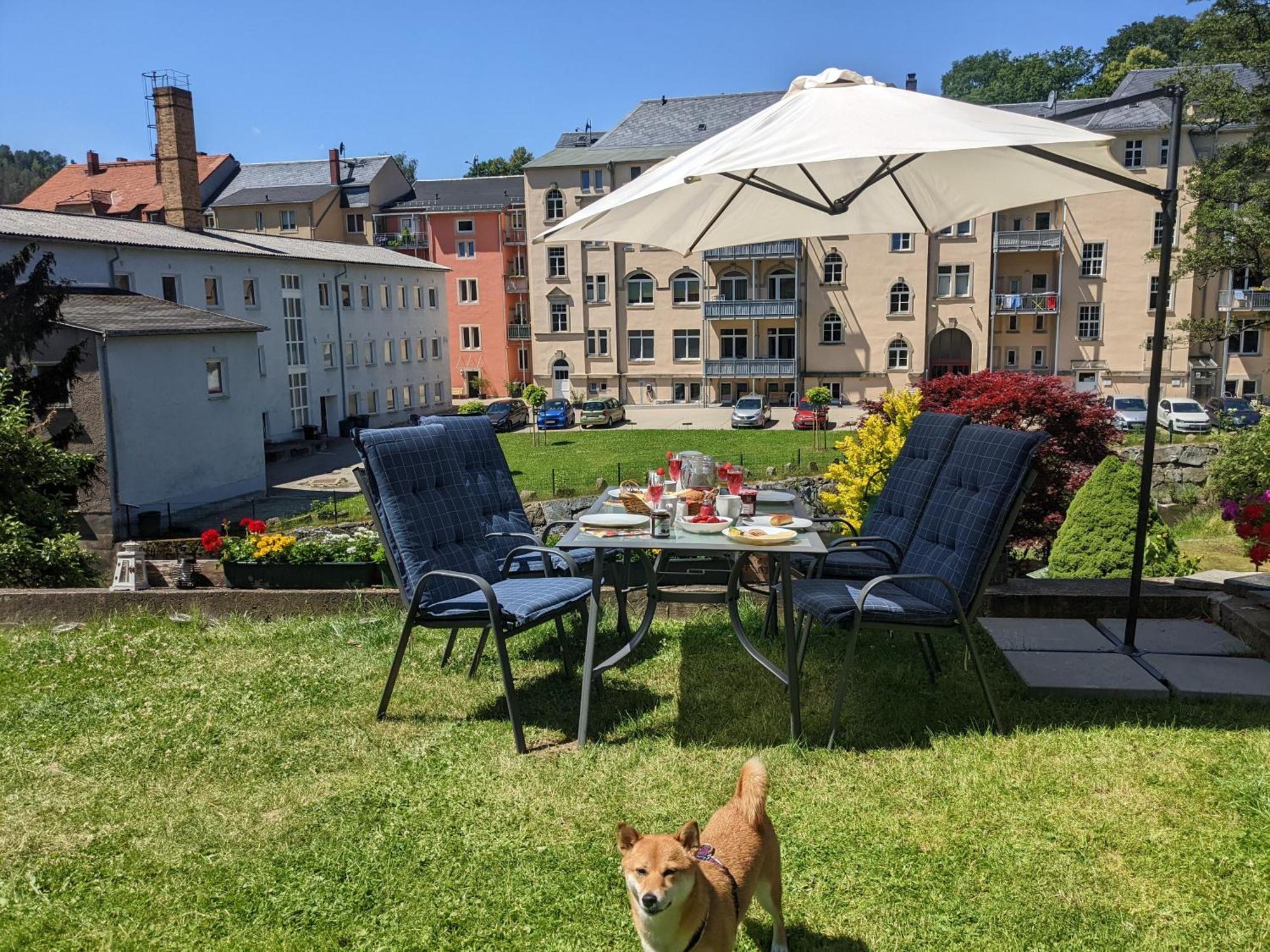 Famzi - Urlaubsmagie - Familienwohnung Mit Gemeinschaftsgarten, -Sauna & -Pool Sebnitz Zewnętrze zdjęcie