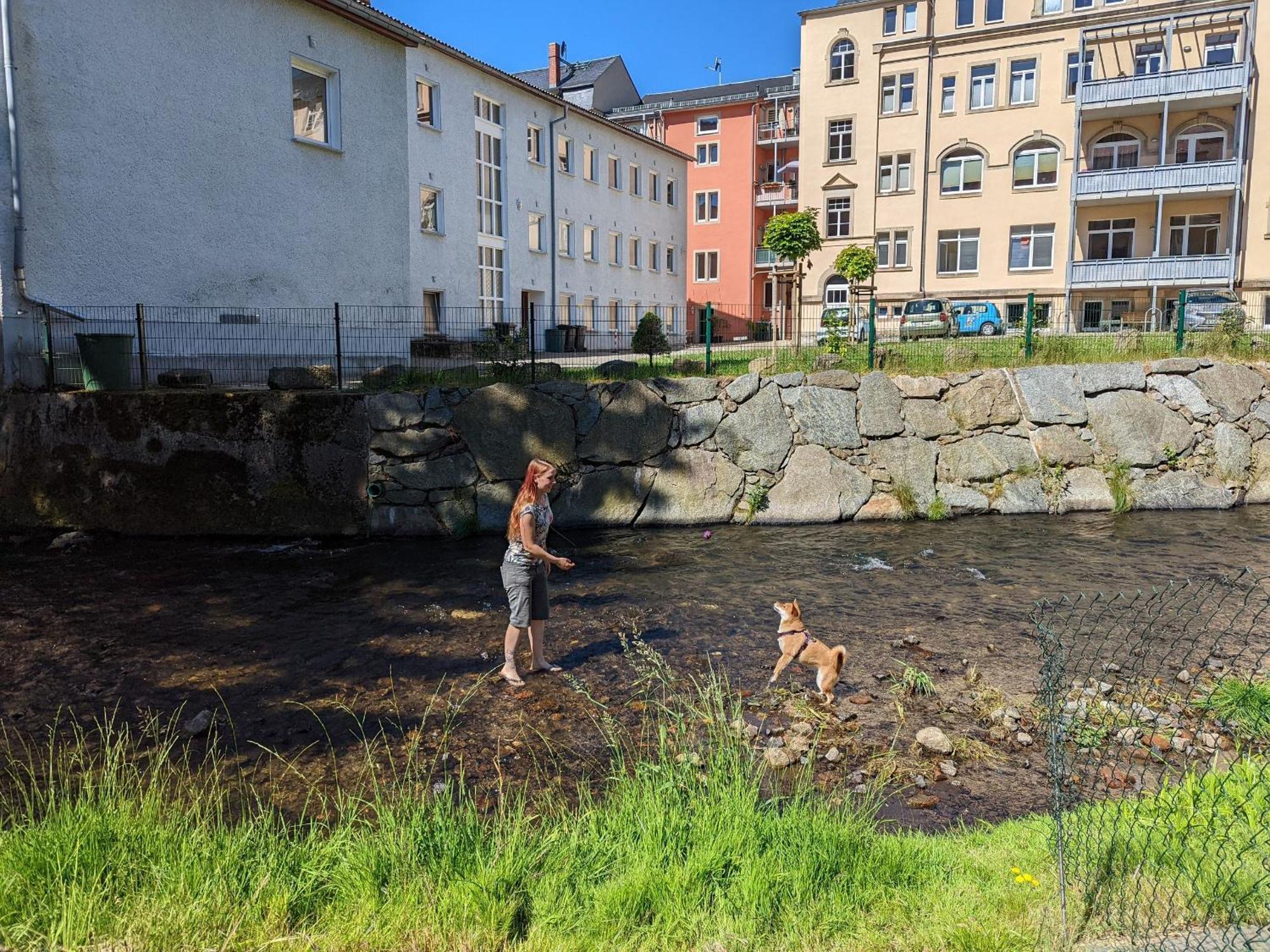 Famzi - Urlaubsmagie - Familienwohnung Mit Gemeinschaftsgarten, -Sauna & -Pool Sebnitz Zewnętrze zdjęcie